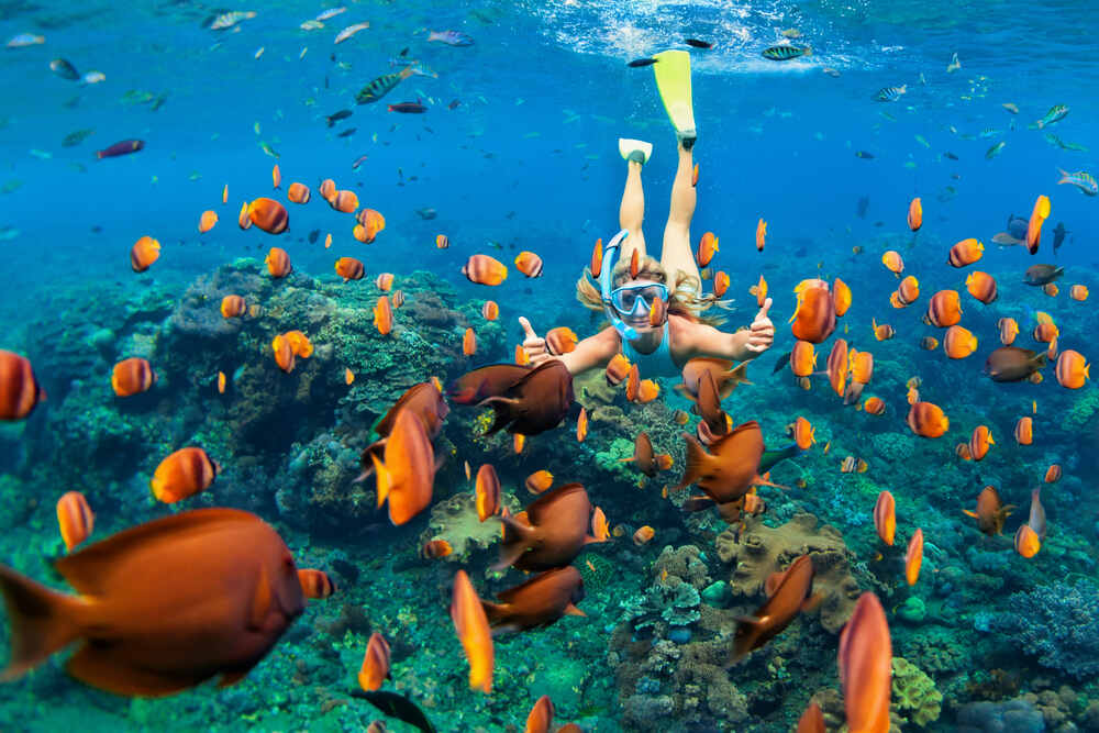 Enjoy diverse snorkelling sites in Phuket 
