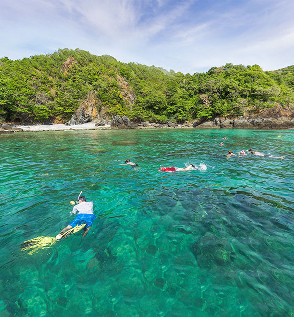 Snorkel above colourful tropical reefs.